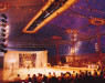 Rudi_Enos_Design_Big_Top_Circus_Tent_017